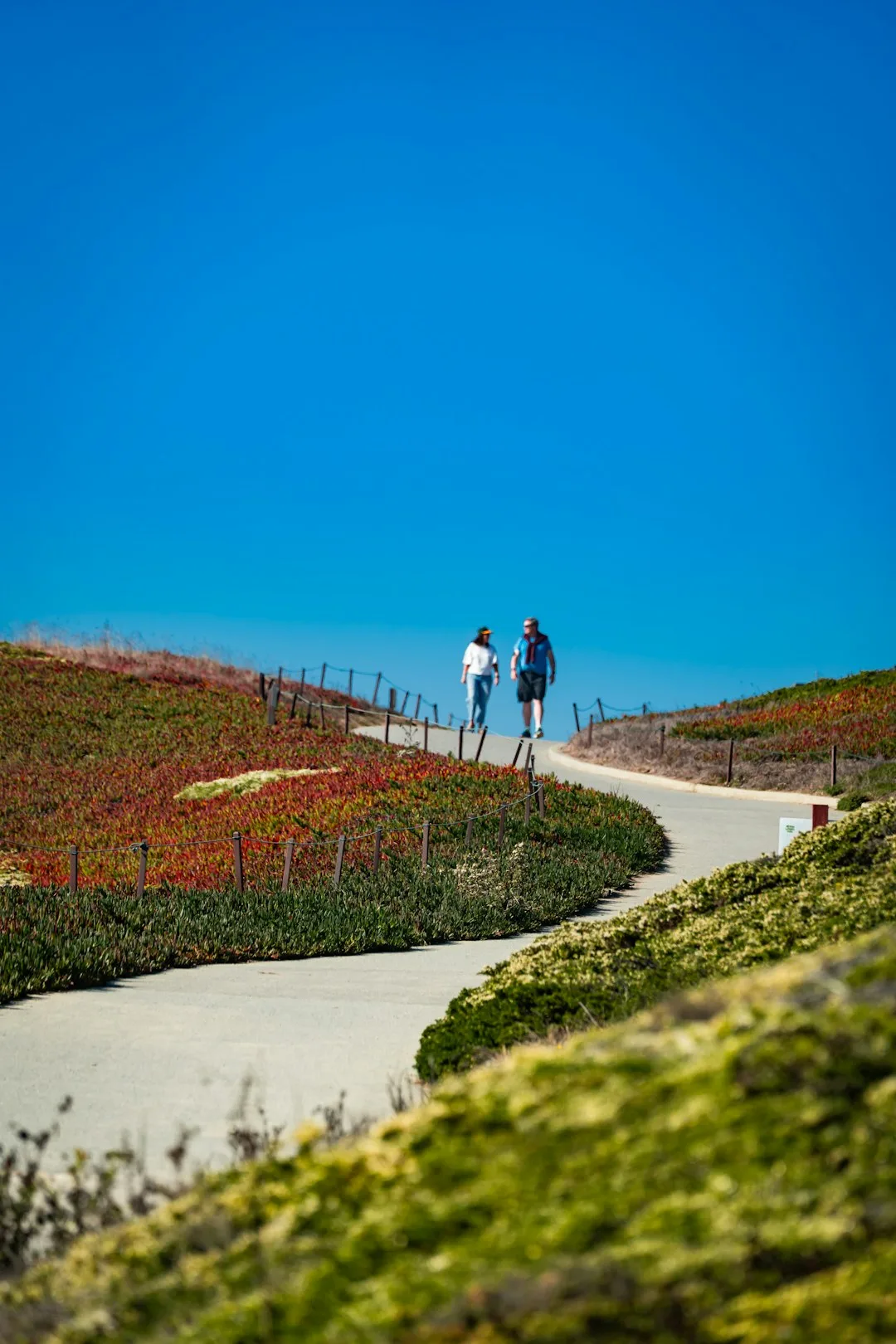 Two people walking a coastal path in the morning